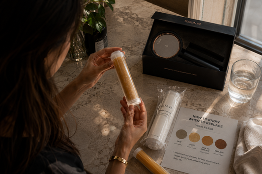 How Long Does a SOAH Filter Really Last, and How Do You Know?